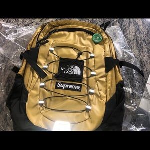 Supreme x Northface Metallic Backpack
